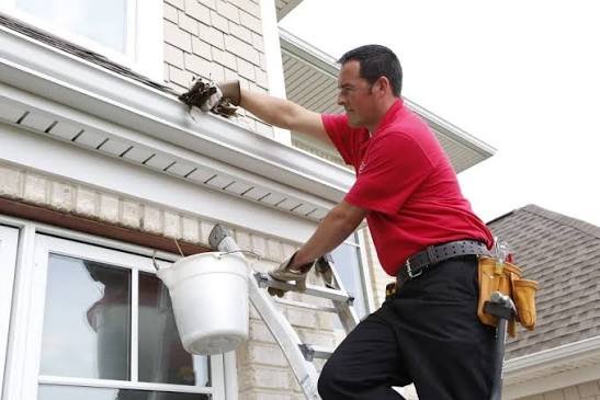 gutter maintenance
