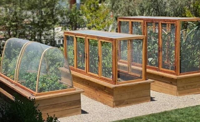 how to build a raised garden bed
